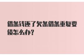 东营东营的要账公司在催收过程中的策略和技巧有哪些？